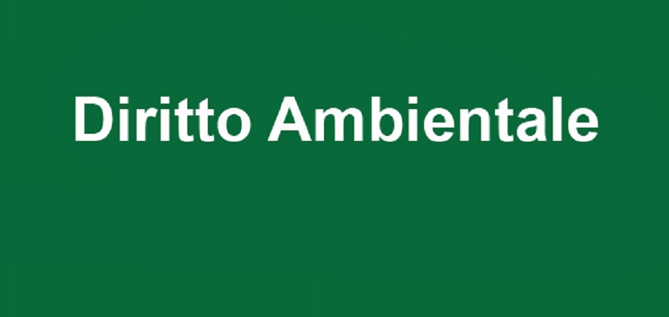Art. 206-bis TUA - Vigilanza e controllo in materia di gestione dei rifiuti - Aggiunto comma 4bis