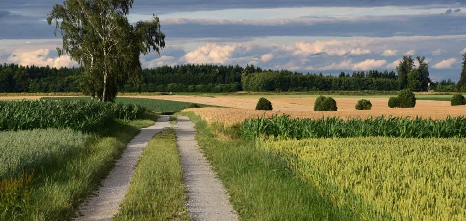 L'atto di classificazione di una strada ricade nella giurisdizione del giudice ordinario
